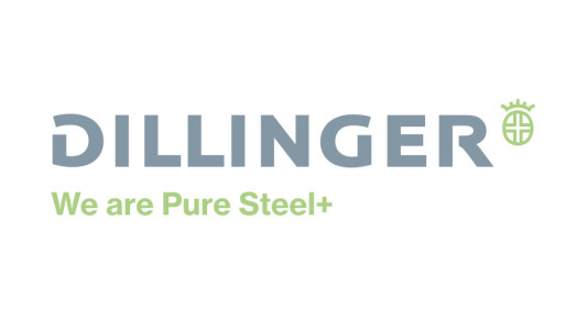 Logo Dillinger grau gruen CMYK 900x506